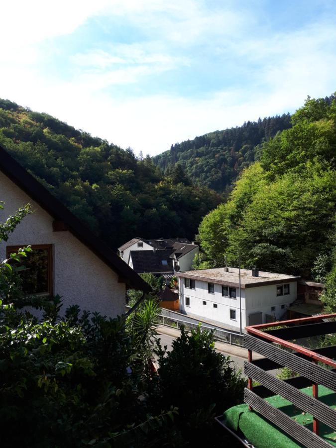 Haus Am Dekernbach Bed and Breakfast Cochem Buitenkant foto